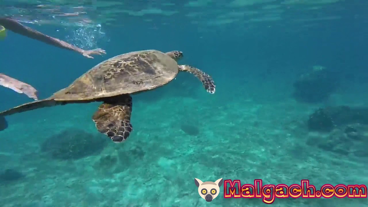 VOYAGE NOSY BE MADAGASCAR