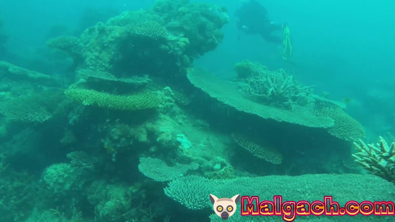 Madagascar Sur de Madagascar