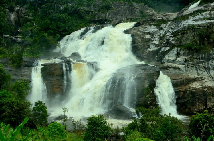 Parque Nacional Ranomafana