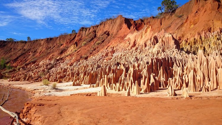 Tour a la reserva de Ankarana