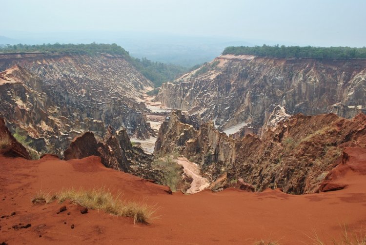 Ankarafantsika National Park