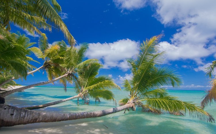 Island Île aux Nattes tour