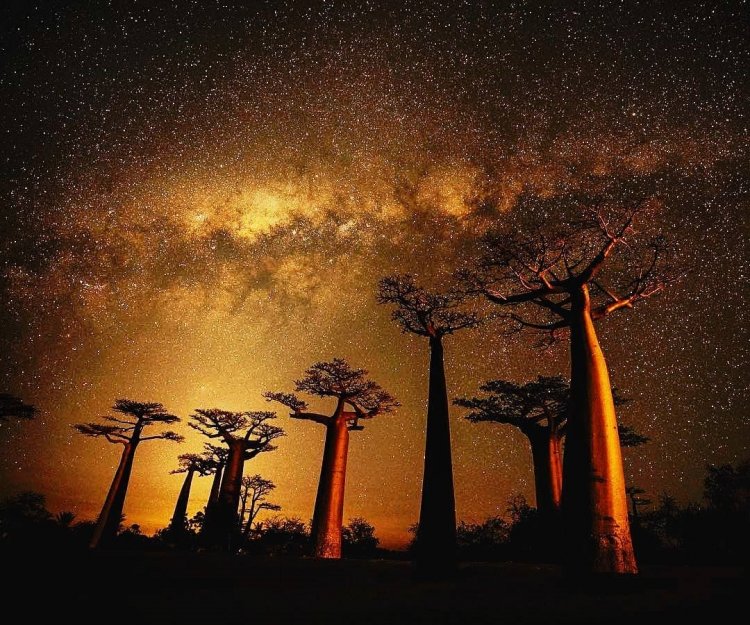 Madagascar es una isla paradisíaca.