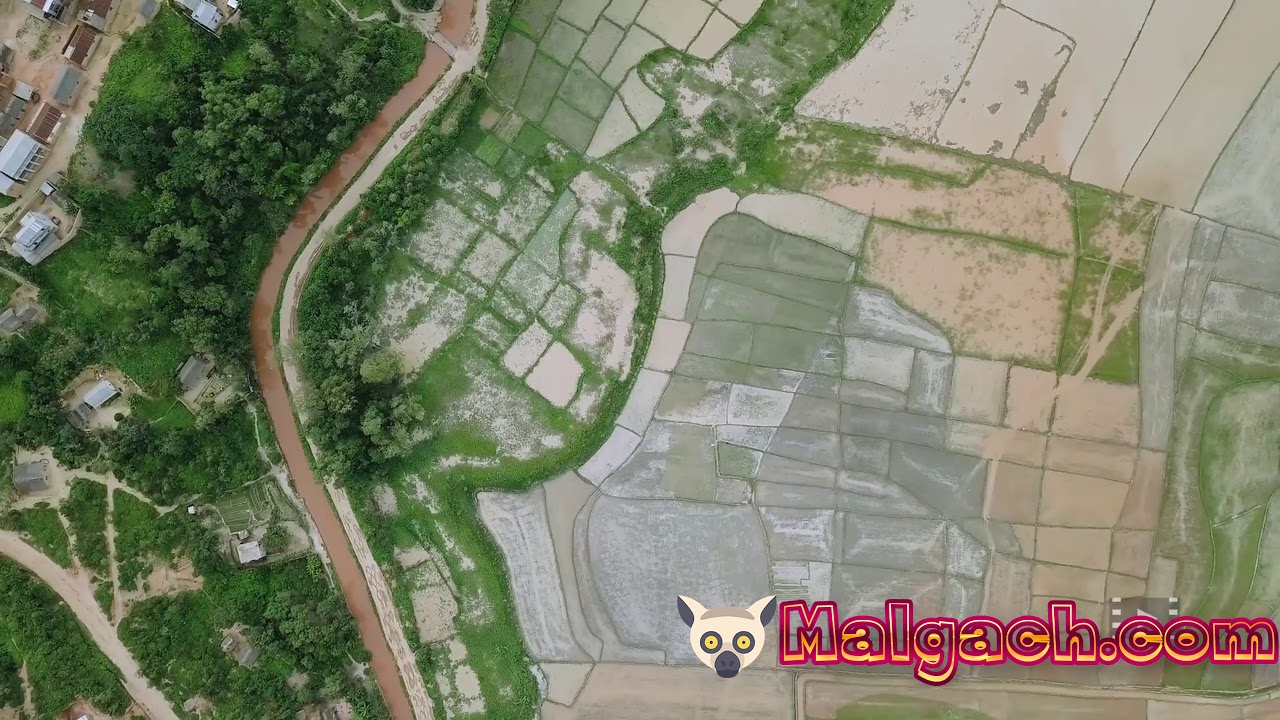 MADAGASCAR #03 Ambohijanahary