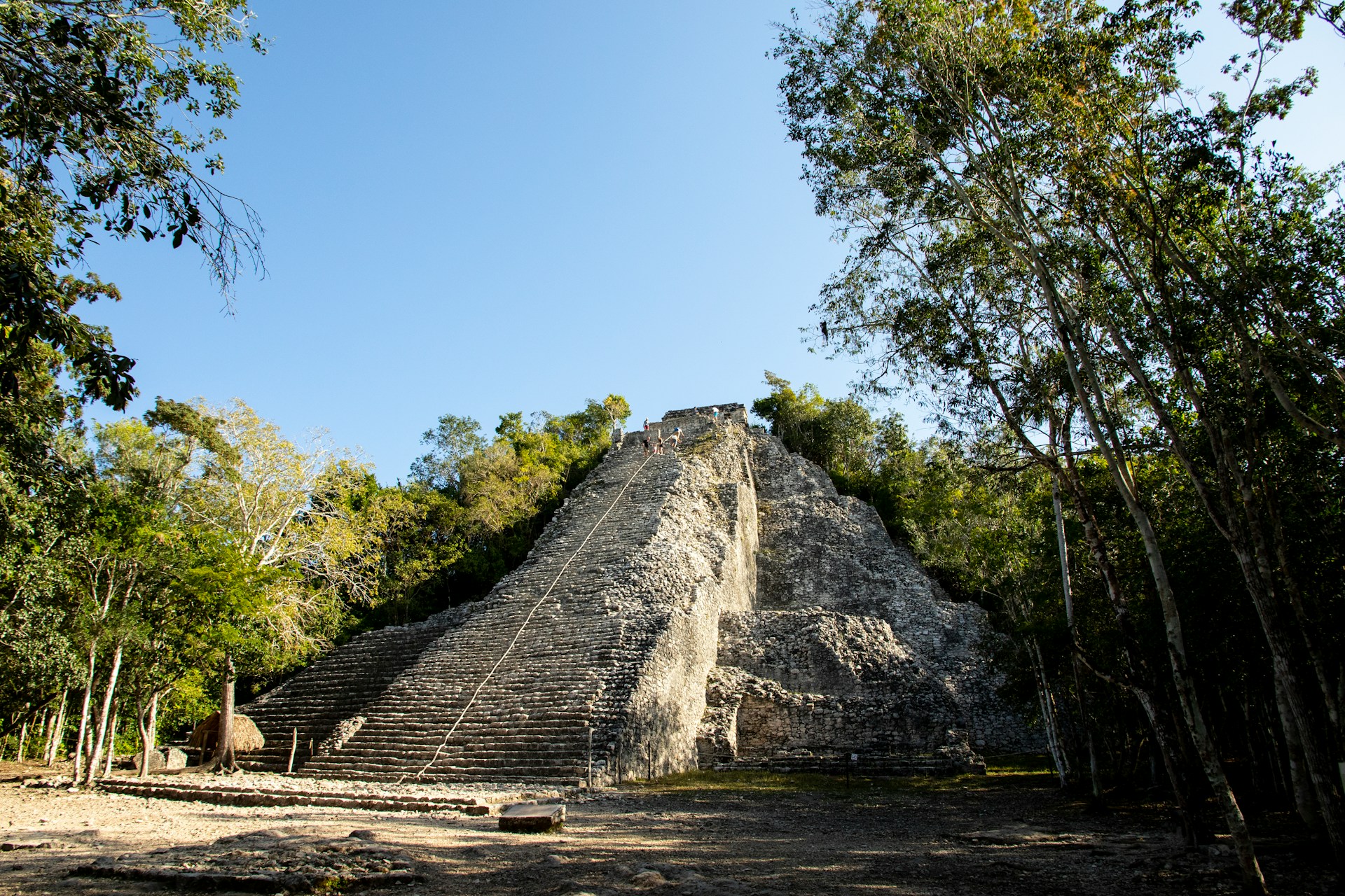 Cobá: A Journey Into the Heart of the Maya Jungle